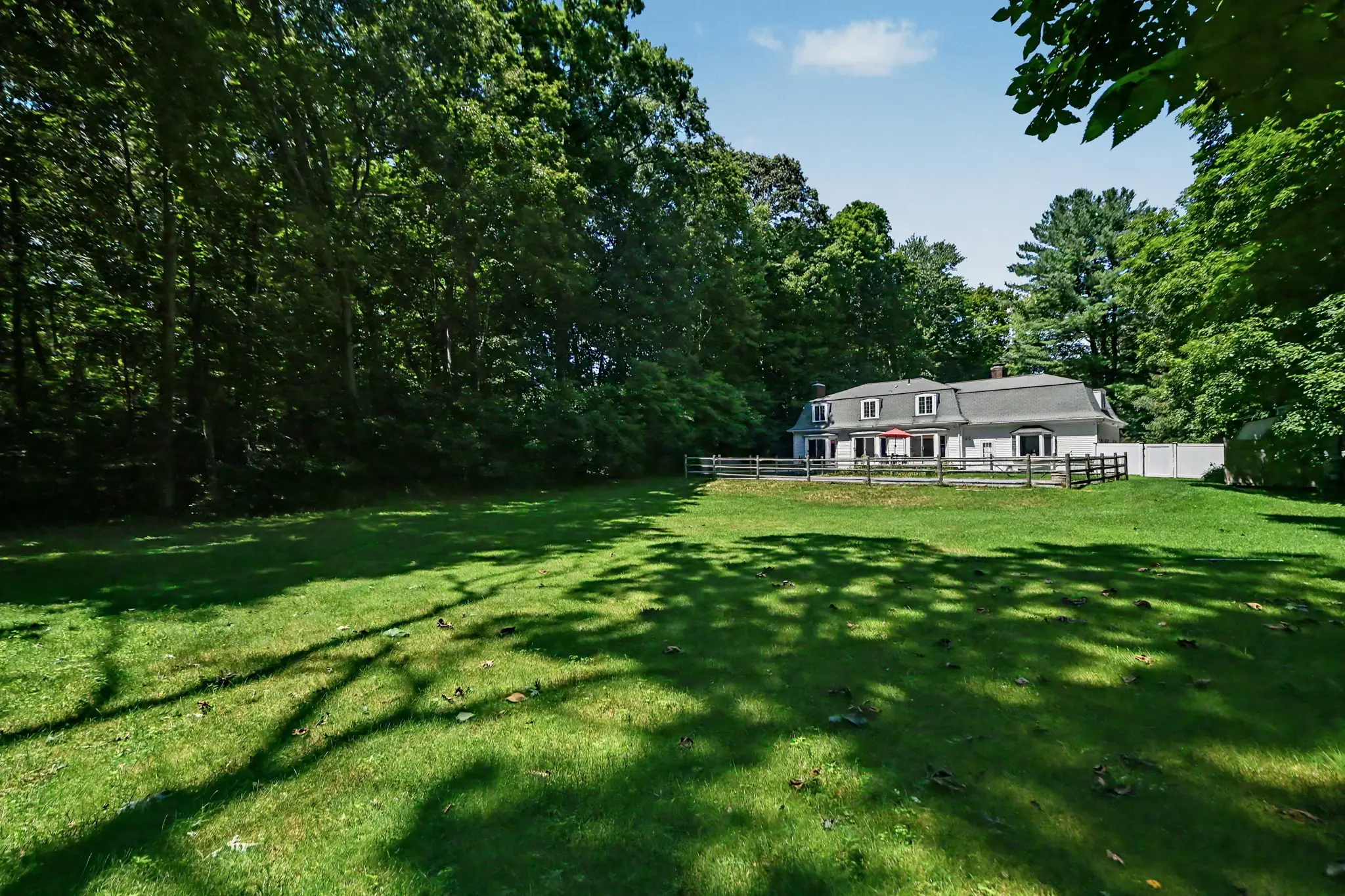 Rear lawn and exterior at 43 Alvin Drive